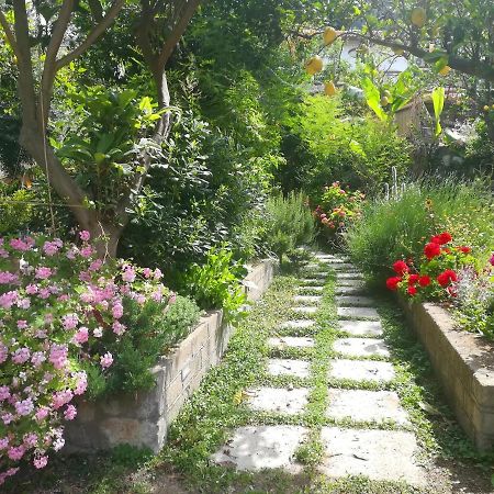 Il Vialetto Dei Limoni Bed & Breakfast Vico Equense Exterior photo