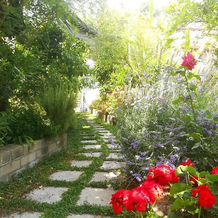 Il Vialetto Dei Limoni Bed & Breakfast Vico Equense Exterior photo