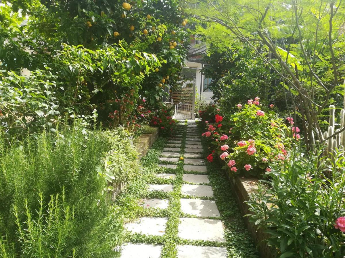 Il Vialetto Dei Limoni Bed & Breakfast Vico Equense Exterior photo