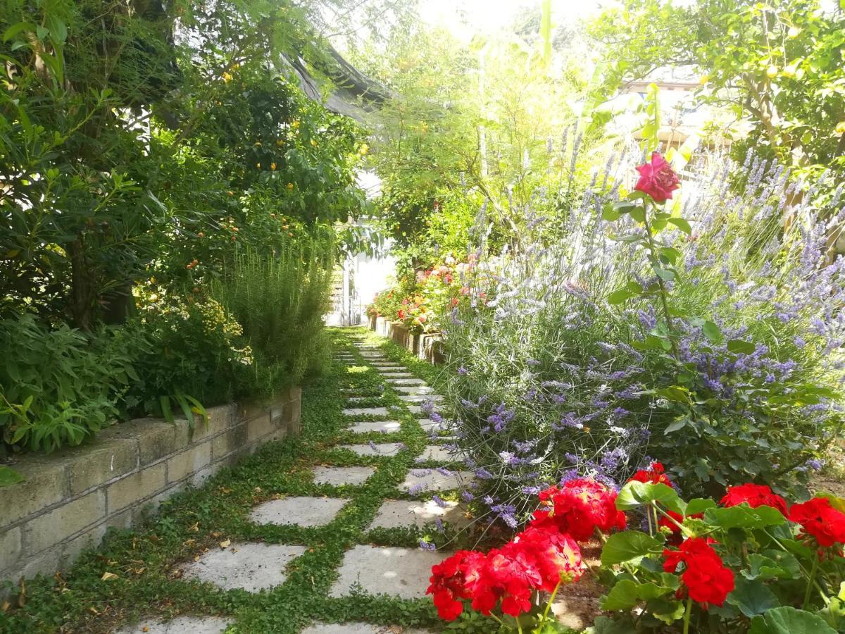 Il Vialetto Dei Limoni Bed & Breakfast Vico Equense Exterior photo