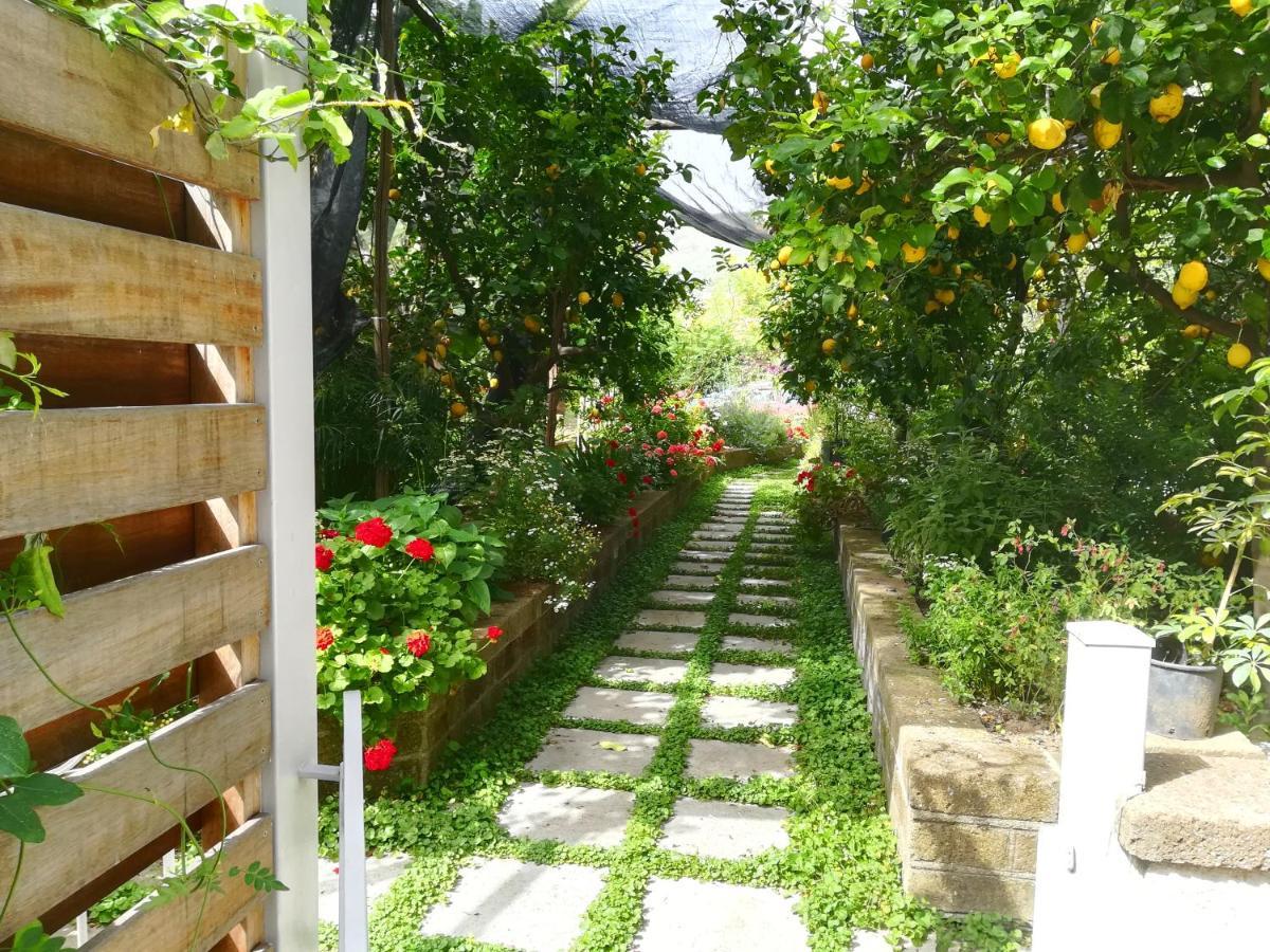 Il Vialetto Dei Limoni Bed & Breakfast Vico Equense Exterior photo